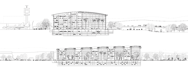 Image:Cross and longitudinal section.