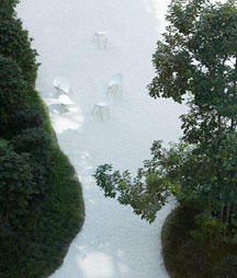 Photo:Camellia garden with camphor